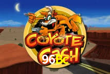 96Bc